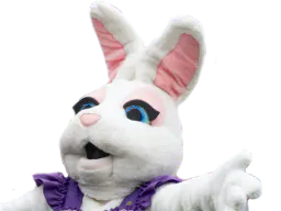 :lapin_mascotte: