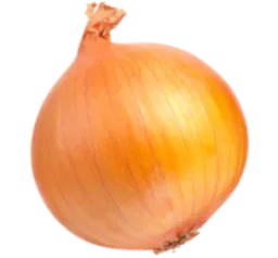 :oignon: