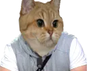 :sodium_fier: