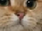 :sodium_zoom2: