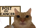 :chatcancer:
