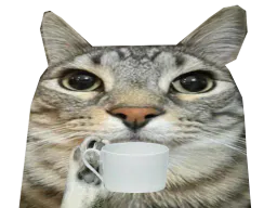 :CS_Tasse: