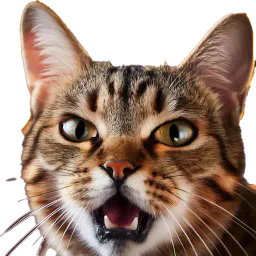 :chat_fache_7:
