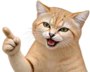 :Chat_desert_doigt: