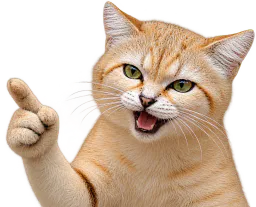 :Chat_desert_doigt: