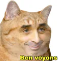 :chat_zemmour_: