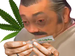 :risiweed: