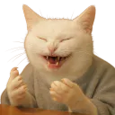:chatrirewtf:
