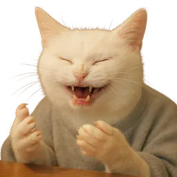 :chatrirewtf: