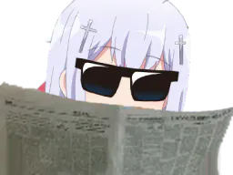 :RaphielEnquete: