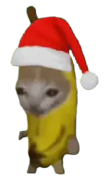 :Chanane_de_Noel: