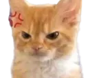 :Vnr: