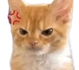 :Vnr:
