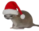 :chasouris2noel: