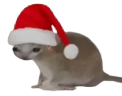 :chasouris2noel: