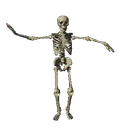 Vive_la_mort