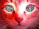 :eden_drogue: