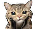 :chatpense1:
