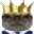 Photo de profil de ChatMonarque