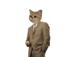 :sodium_costard:
