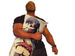 :coussin_kj: