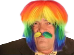 :raimbow_mlp_risitas: