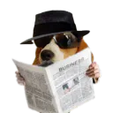 :Chien_espion: