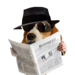 :Chien_espion: