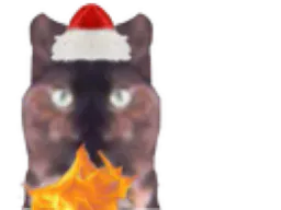 :feu: