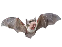 :depardieu_vole: