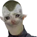 :dz_chat: