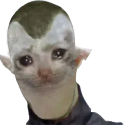 :dz_chat: