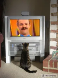 :LagafTV: