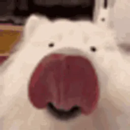 :chien_leche__: