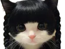 :chatbob2: