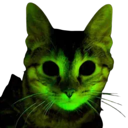 :chat_glow: