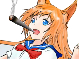 :firefox: