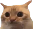 :Chatlimiteinverse: