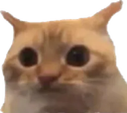 :Chatlimiteinverse: