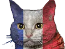 :Chat-Tris: