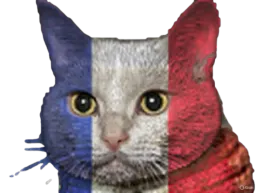 :Chat-Tris: