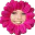 Photo de profil de Skychem