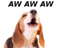 :AW1: