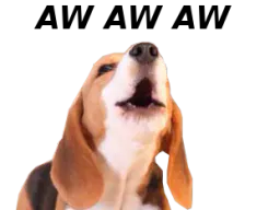 :AW1: