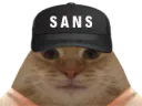 :chat_sans: