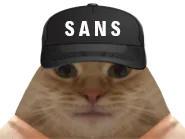 :chat_sans:
