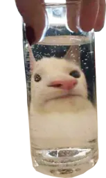 :glouent:
