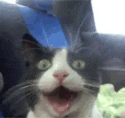 :gnask: