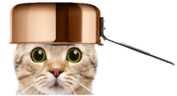 :chat_casserole_1: