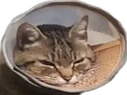 :Chatparabol: